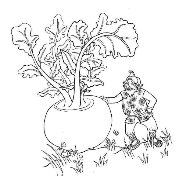 Репка раскраска для детей