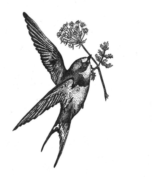 Ласточка тату эскиз