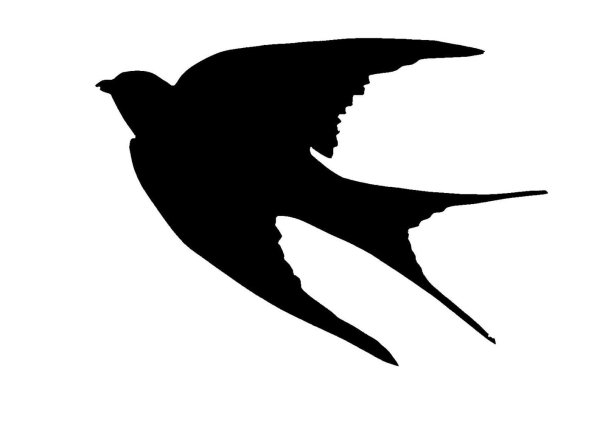 Ласточка силуэт
