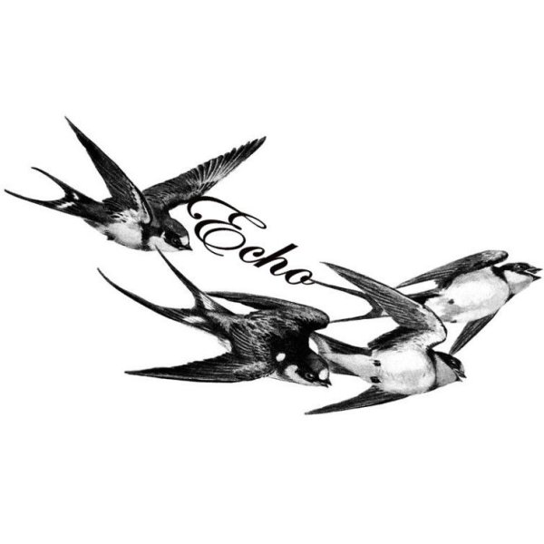 Татуировка Ласточка эскиз