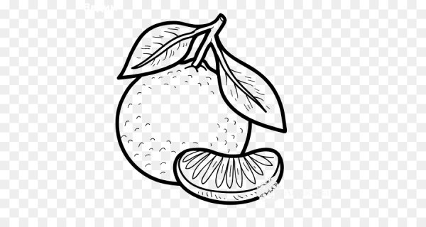 Мандарин раскраска