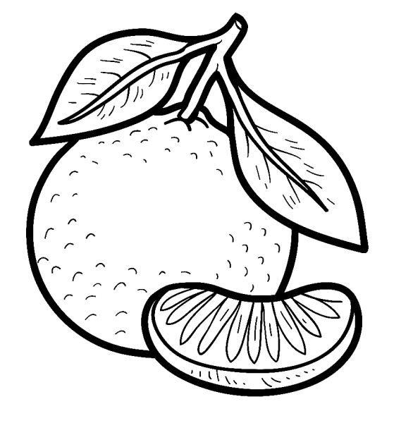 Мандарин для раскрашивания