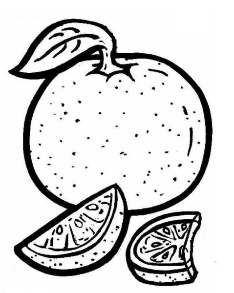 Мандарин рисунок Графика