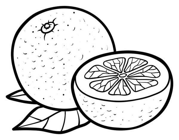 Мандарин вектор чб