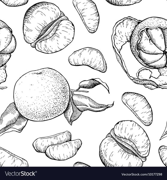 Апельсин раскраска для детей