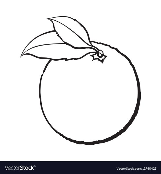 Мандарин раскраска для детей