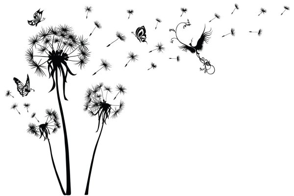 Одуванчик рисунок