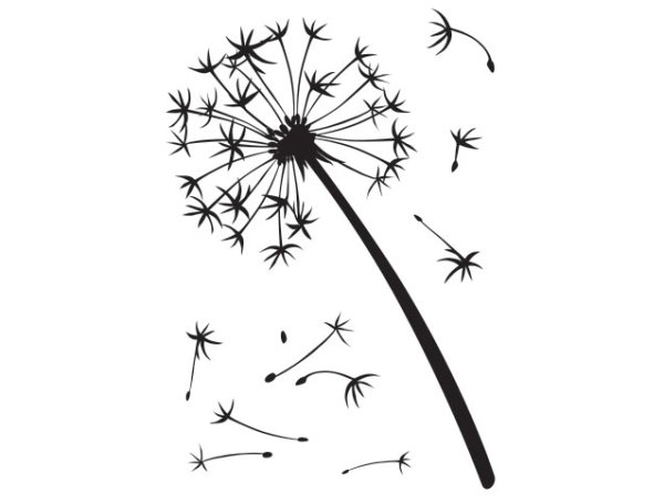 Одуванчик трафарет