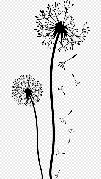 Одуванчик схематично