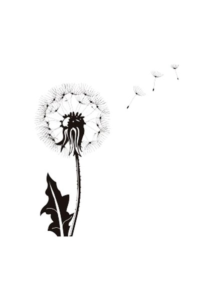 Одуванчик узор