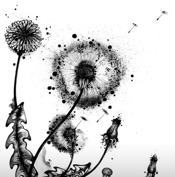 Цветы рисунок