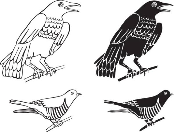 Кукушка раскраска