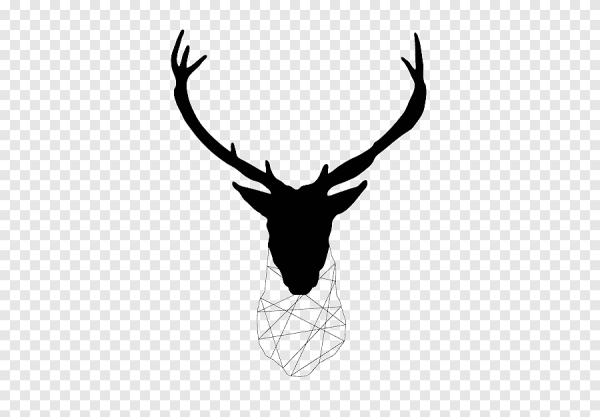 Голова оленя на белом фоне