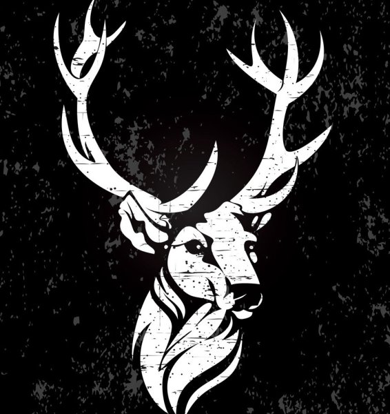 Олень в графике