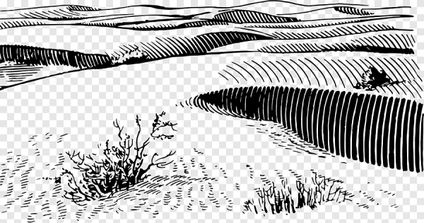 Ведро раскраска