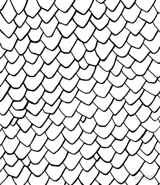 Чешуйка дракона