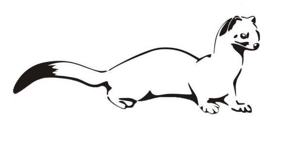 Горностай вектор