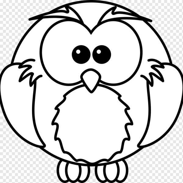 Сова раскраска для детей