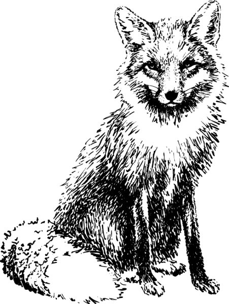 Графика (лиса)