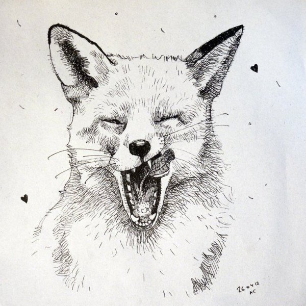 Раскраска лиса