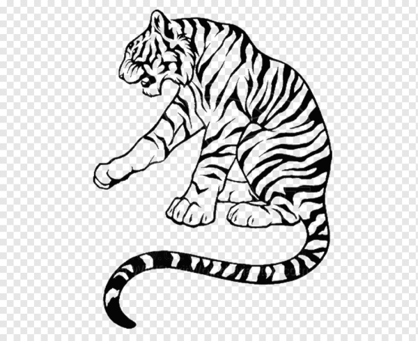 Векторный рисунок тигра