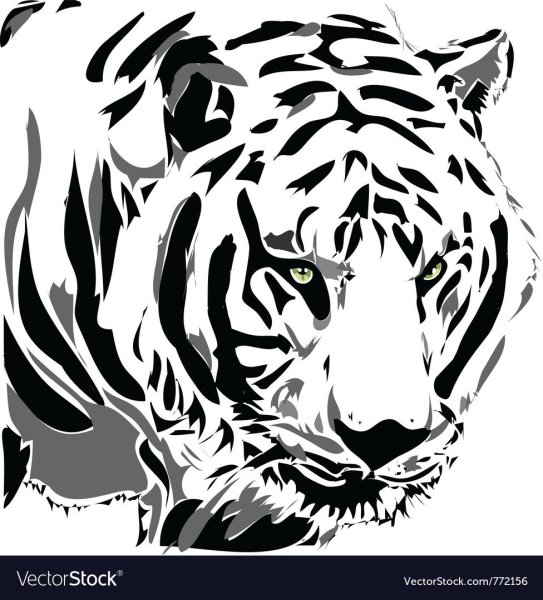 Тигр векторный рисунок