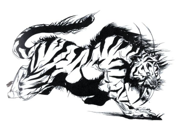 Тигр крадется эскиз