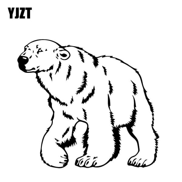 Белый медведь раскраска