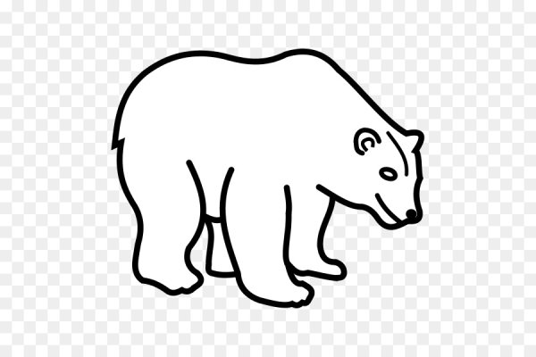 Контур медведя на прозрачном фоне