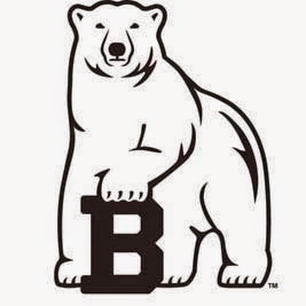 Белый медведь логотип