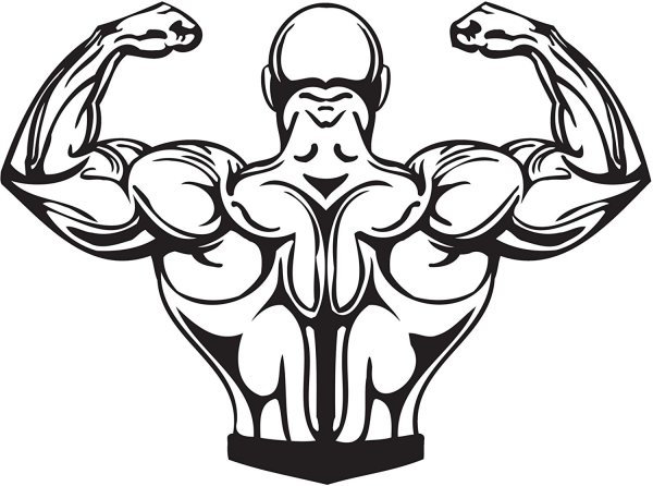 Символ бодибилдинга