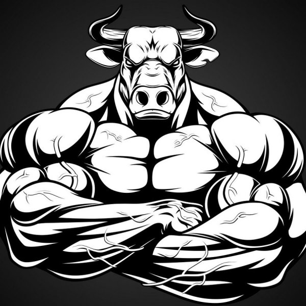 Бык бодибилдинг