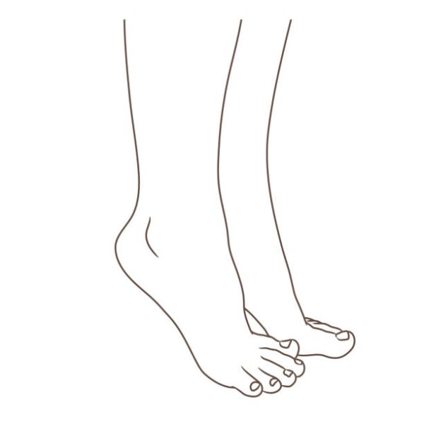 Очертание рук и ног