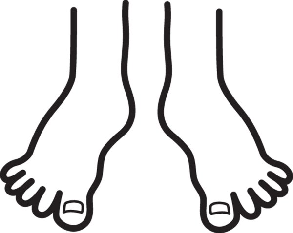 Правая стопа контур