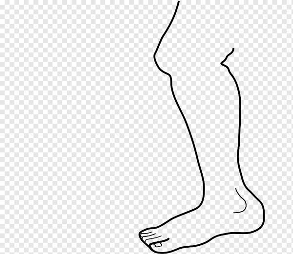 Стопа человека боком