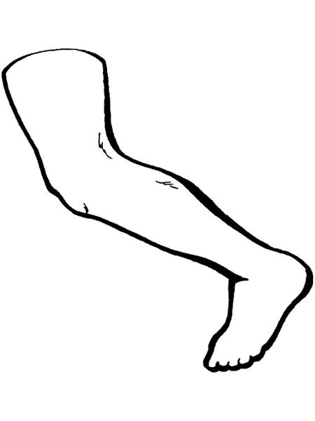 Силуэт стопы