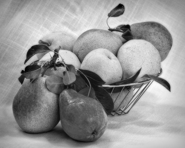 Натюрморты Графика офорт