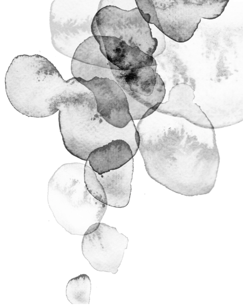 Пятна панды