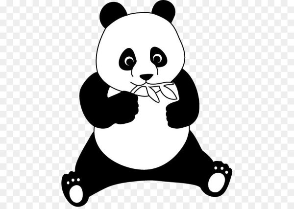 Панда черно белая