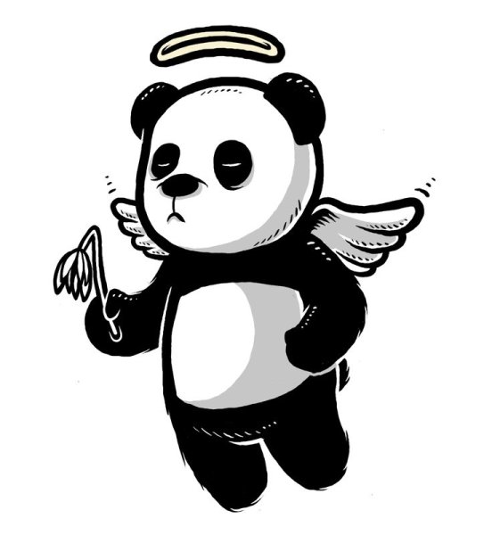 Панда рисунок карандашом