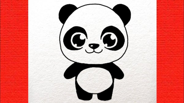 Раскраска Панда