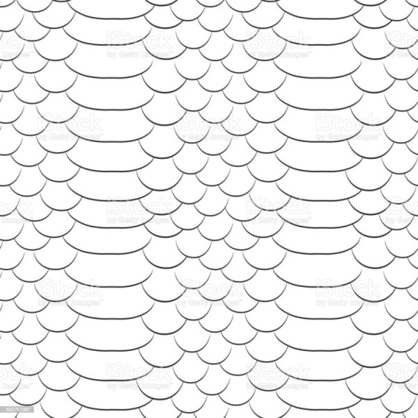 Чешуя на белом фоне