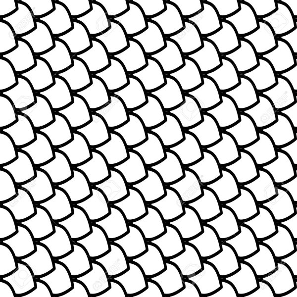 Чешуя вектор