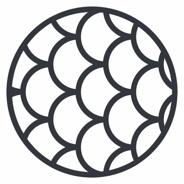 Чешуя силуэт