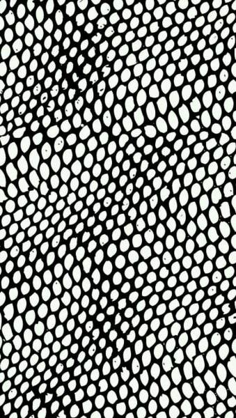 Альфа кисть змеиная чешуя