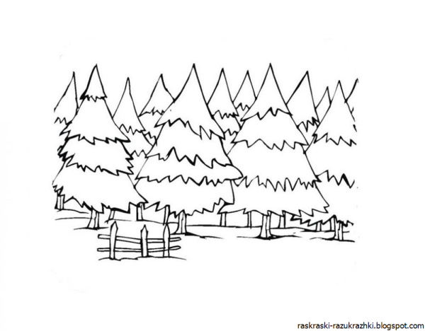 Раскраска леса