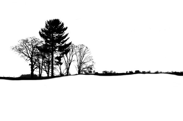 Пейзаж силуэт