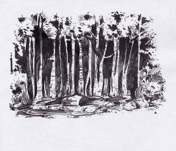 Лес Графика черно белая