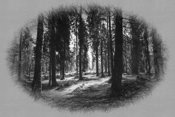 Лес эскиз