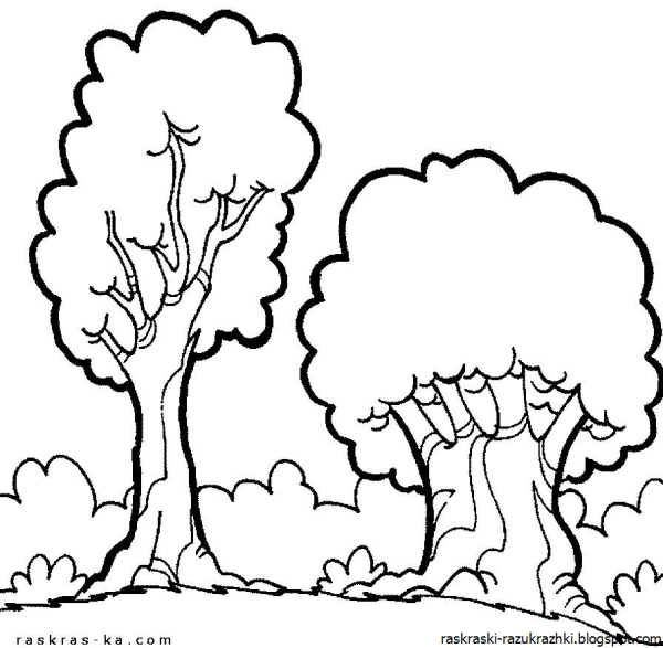 Дерево раскраска